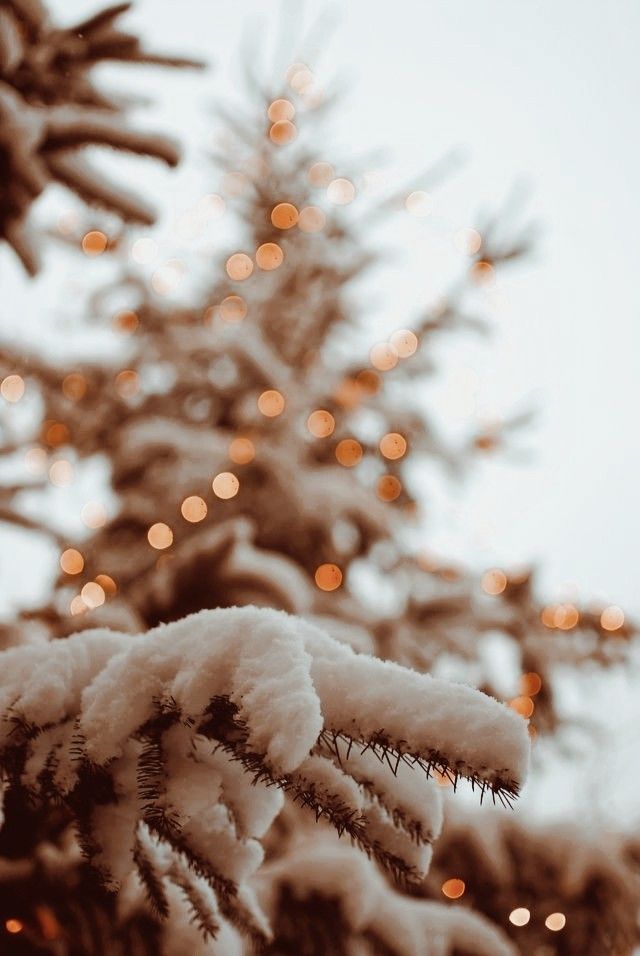 Magia do Natal ( Brevemente)