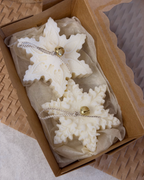 Pack  Flocos de Neve - Brilho