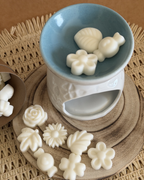 Pack Queimador + Wax Melts Primavera