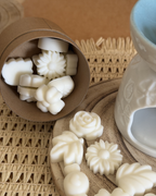 Pack Queimador + Wax Melts Primavera