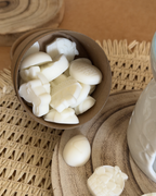 Pack Queimador + Wax Melts Páscoa