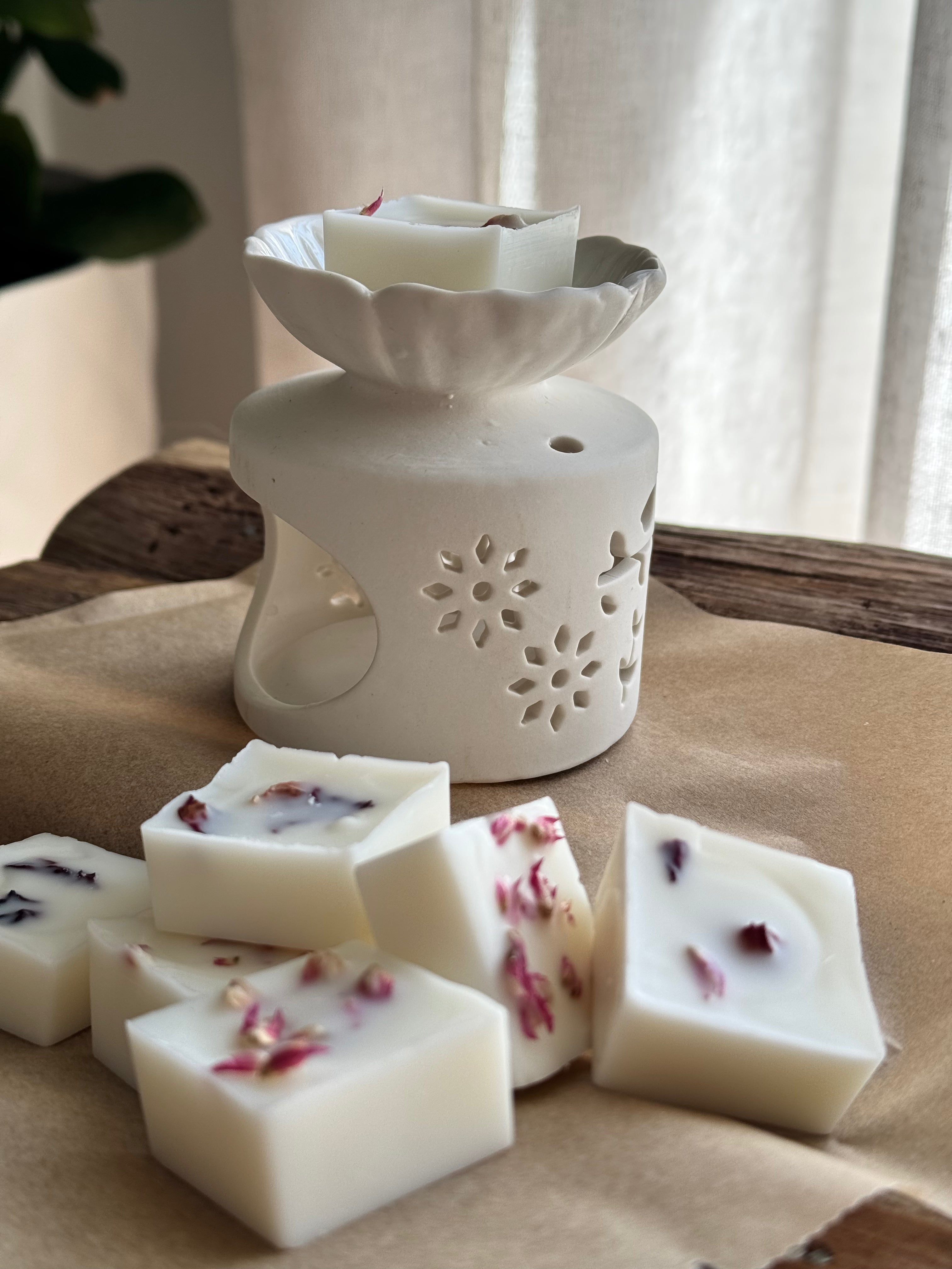 Pack Wax Melts + Queimador Flora